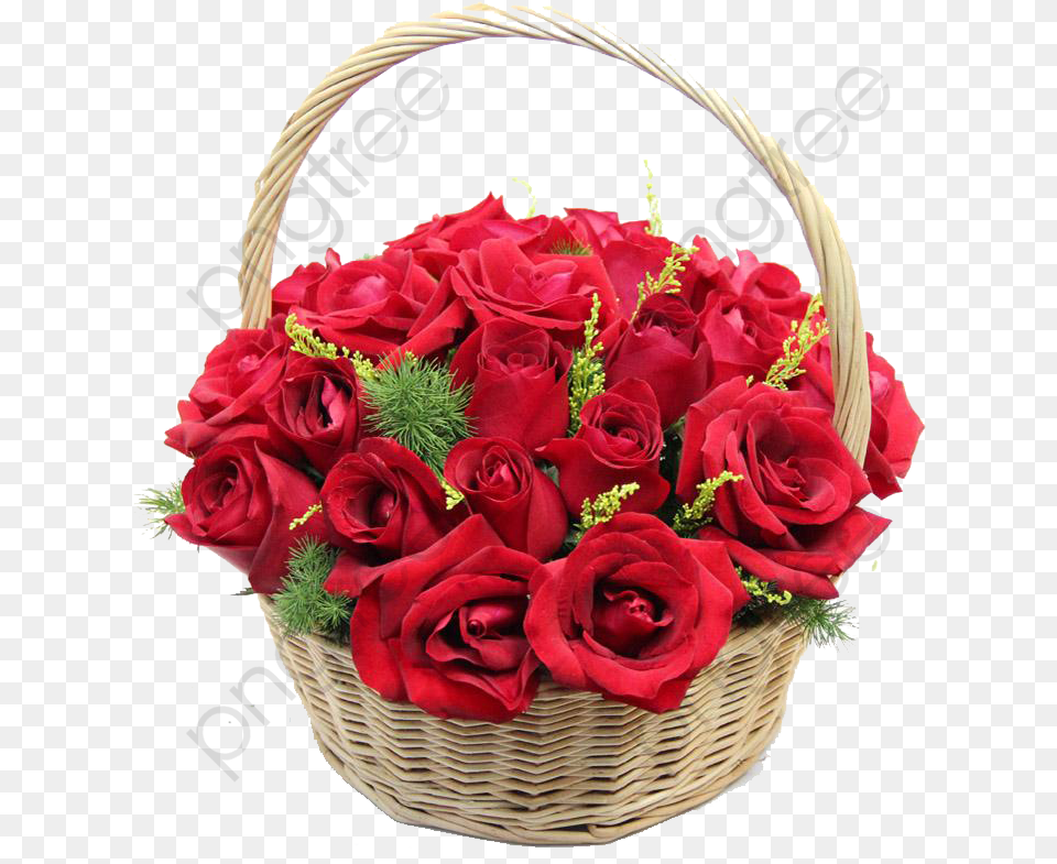 Flower Basket, Flower Arrangement, Flower Bouquet, Plant, Rose Png