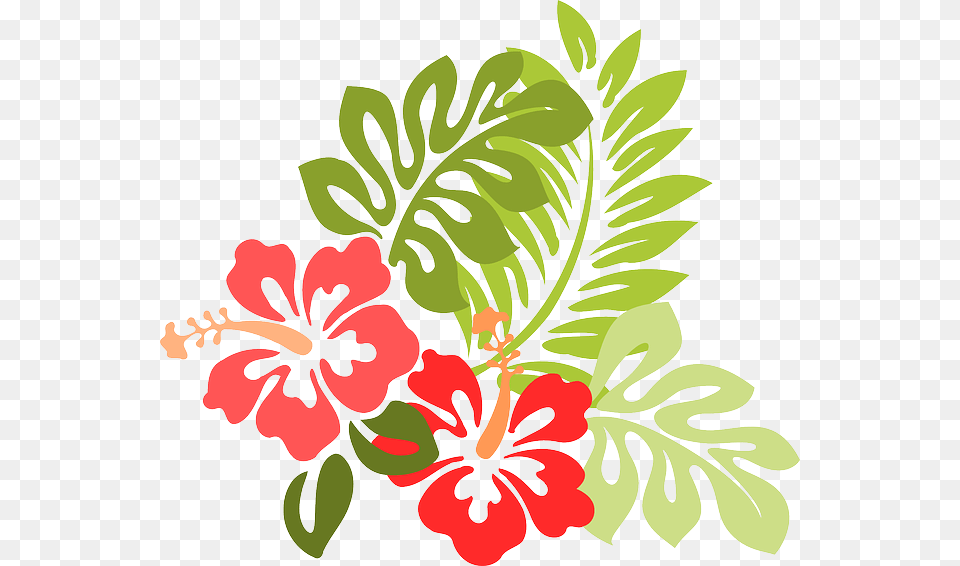 Flower Beach, Plant, Hibiscus, Herbal, Herbs Free Transparent Png