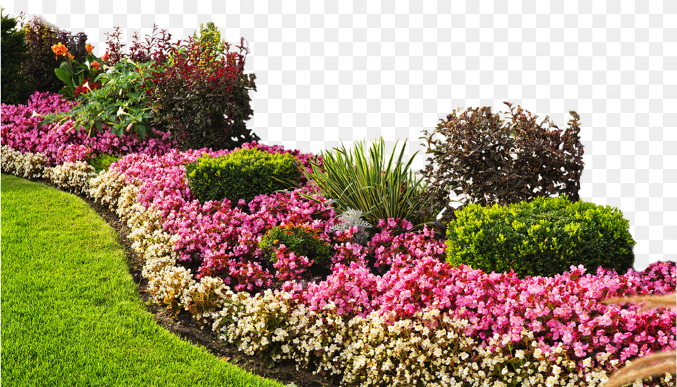 Flower Bed, Nature, Garden, Plant, Grass Free Png