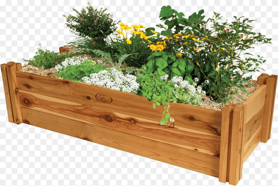 Flower Bed Raised Bed Gardening, Jar, Plant, Planter, Potted Plant Free Png Download