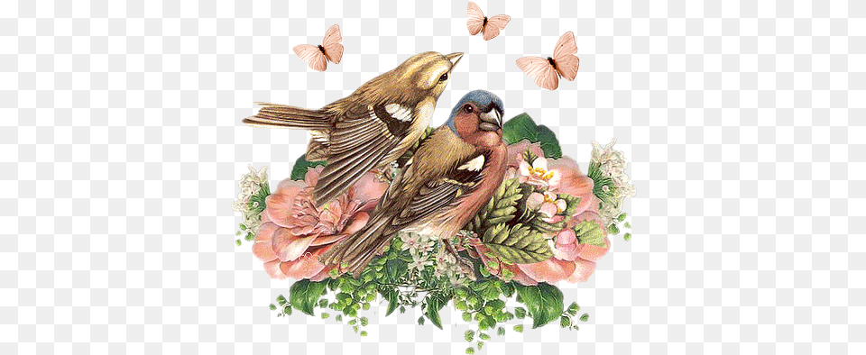 Flower Bird Vintage Imagenes De Pajaros Para Decoupage, Animal, Finch, Art, Painting Png Image