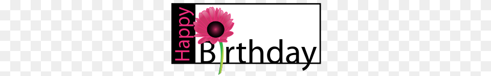 Flower Birthday, Daisy, Plant, Petal Png Image