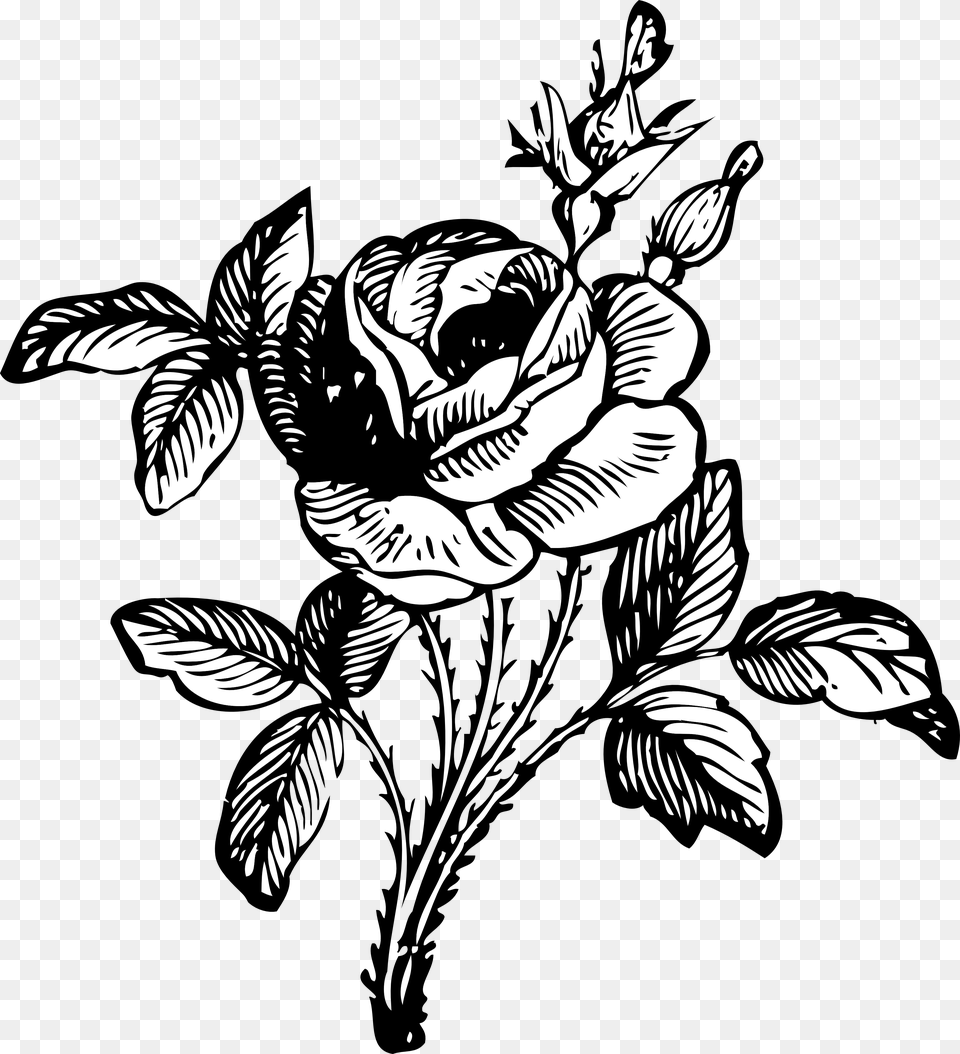 Flower Black And White, Art, Drawing, Floral Design, Graphics Png