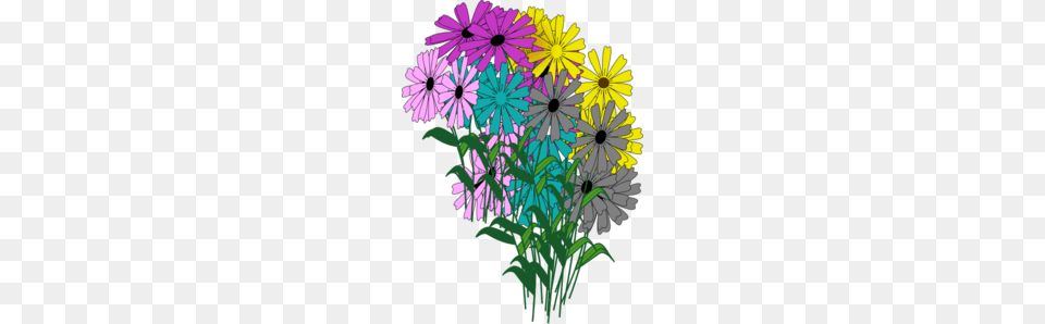 Flower Bloom Clip Art, Plant, Daisy, Graphics, Purple Free Png Download