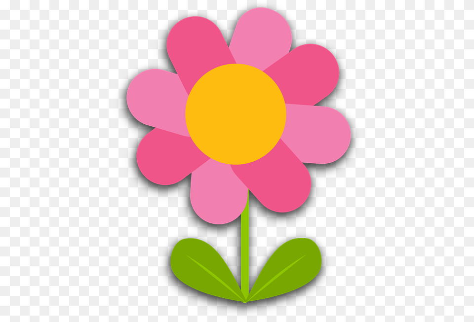 Flower Blossom Bloom Scalable Vector Graphics, Dahlia, Daisy, Petal, Plant Png Image