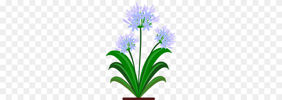 Flower Blue Borders And Frames Purple Plants, Plant, Flower Arrangement Png Image