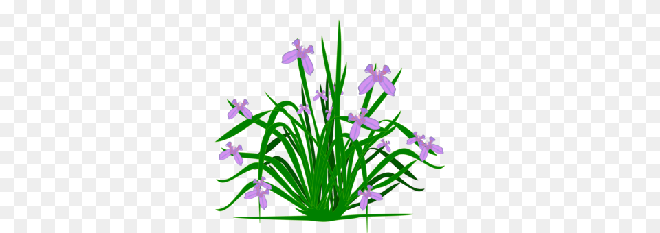 Flower Blue Borders And Frames Purple Plants, Iris, Plant Png