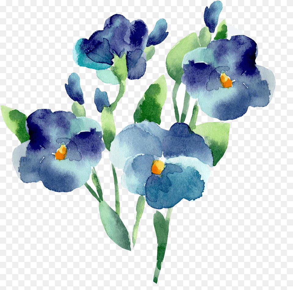 Flower Blue Watercolor Painting Watercolor Flowers Transparent Background, Plant, Petal, Iris Png Image