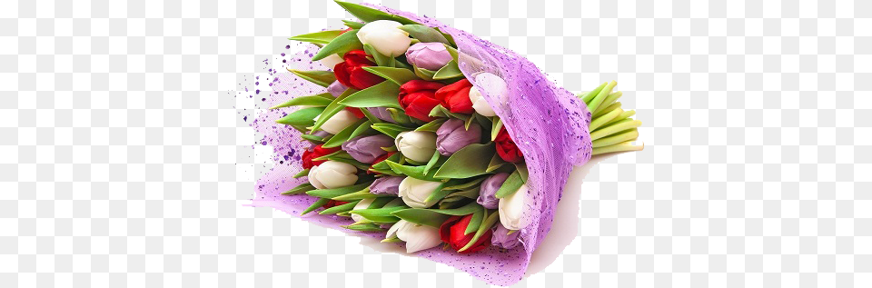 Flower Bokeh Happy Friendship Day Gift, Flower Bouquet, Plant, Flower Arrangement, Wedding Free Png Download
