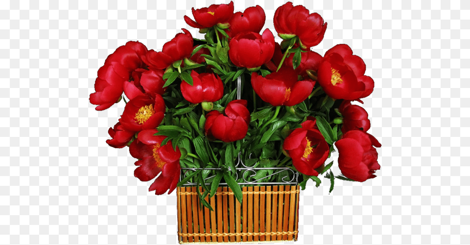Flower Boquet Rose, Flower Arrangement, Flower Bouquet, Plant, Basket Free Transparent Png
