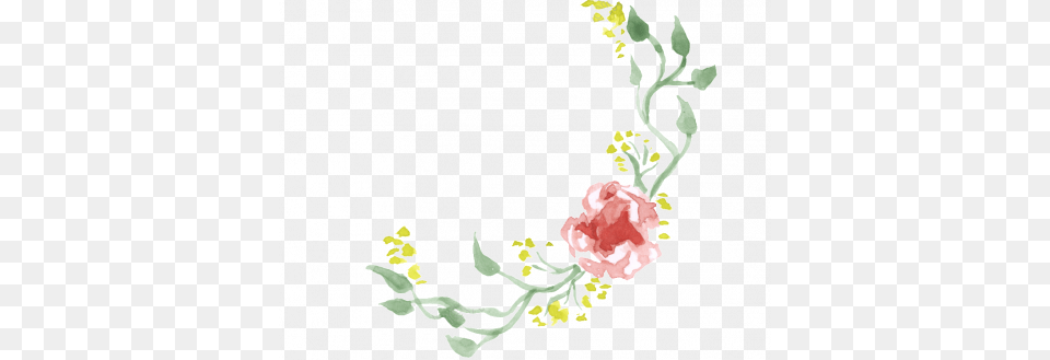 Flower Border, Plant, Art, Carnation, Graphics Free Png