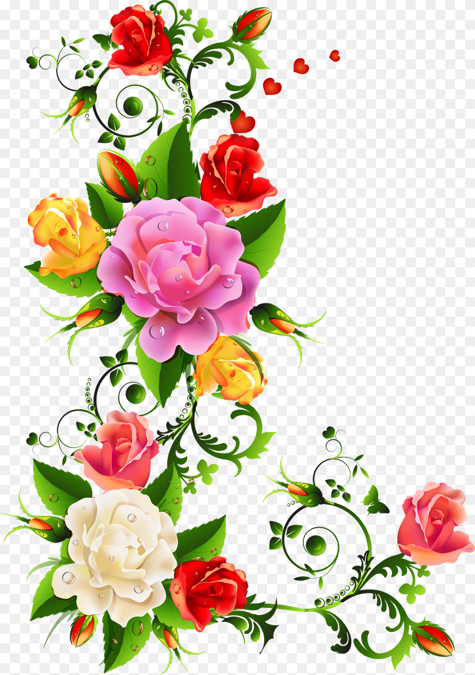 Flower Border Design, Rose, Art, Plant, Floral Design Png