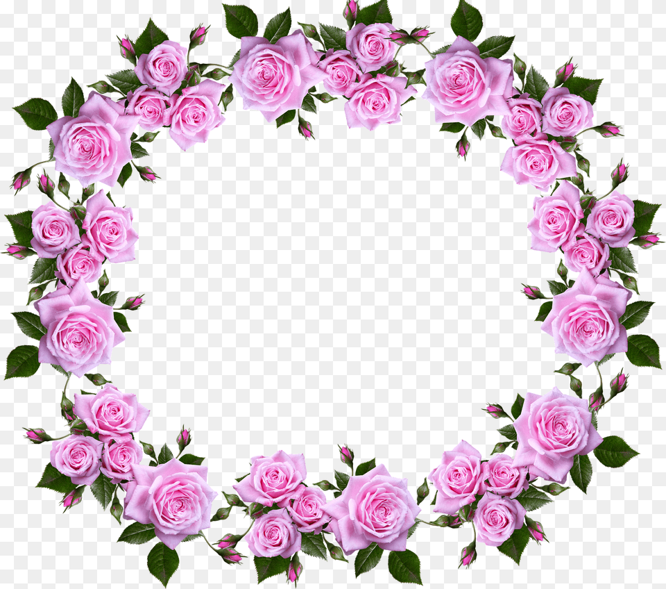 Flower Border Frame Design, Plant, Rose, Flower Arrangement, Pattern Free Png