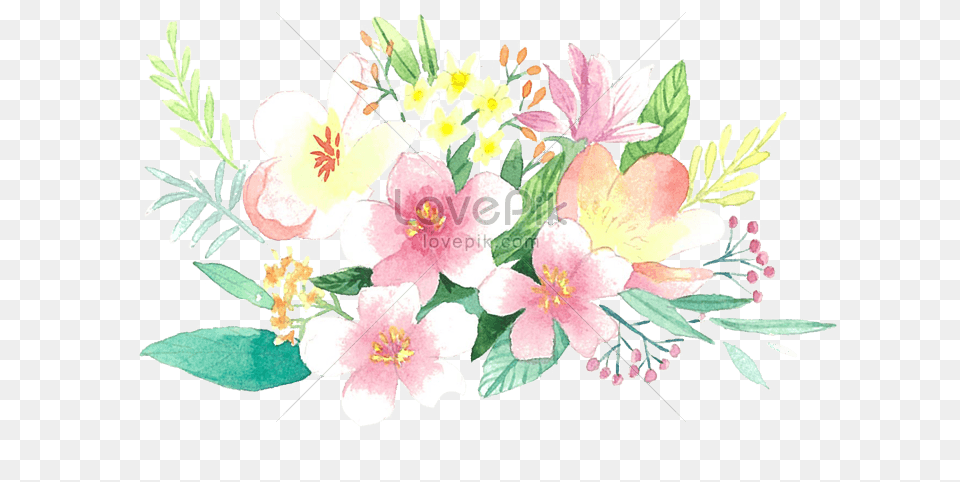 Flower Border Illustration Imagepicture Download Peruvian Lily, Art, Floral Design, Flower Arrangement, Flower Bouquet Free Transparent Png