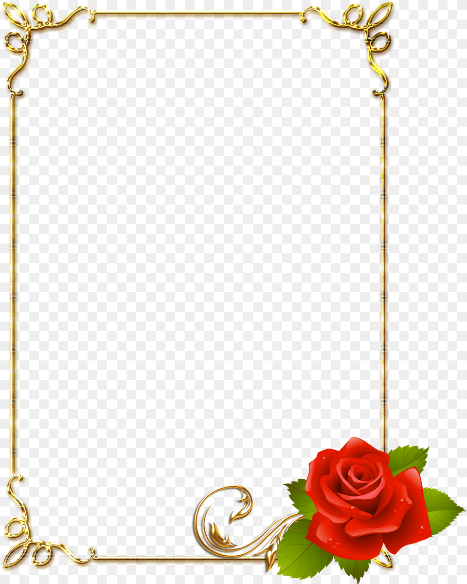Flower Border Page, Plant, Rose Png