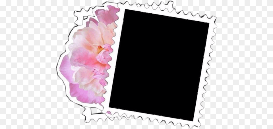 Flower Border Tumblrstickers Tumblr Dot, Dahlia, Plant, Petal, Blackboard Png Image