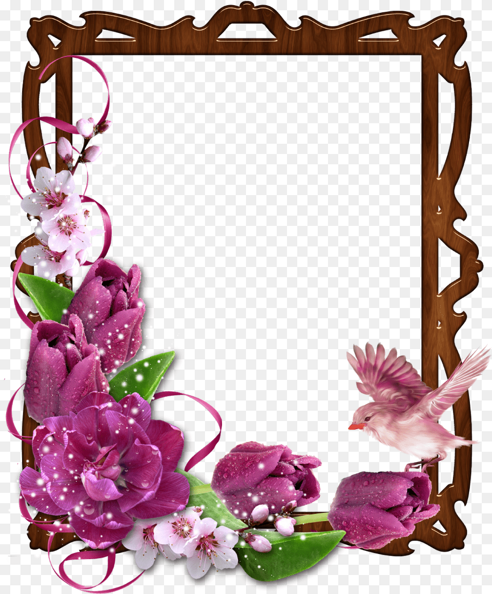 Flower Borders And Frames, Flower Arrangement, Plant, Art, Floral Design Free Png
