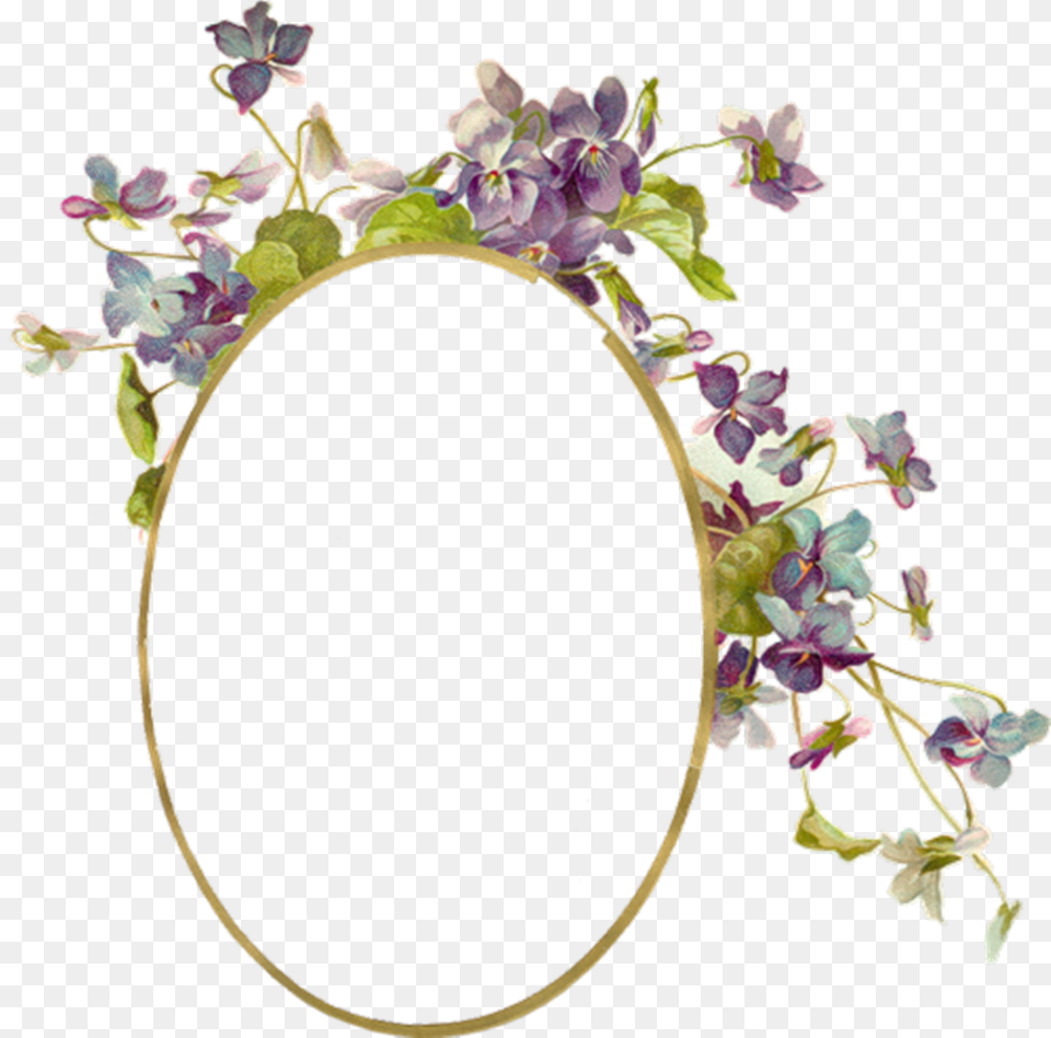Flower Borders And Frames, Plant, Photography, Flower Arrangement, Oval Free Png Download