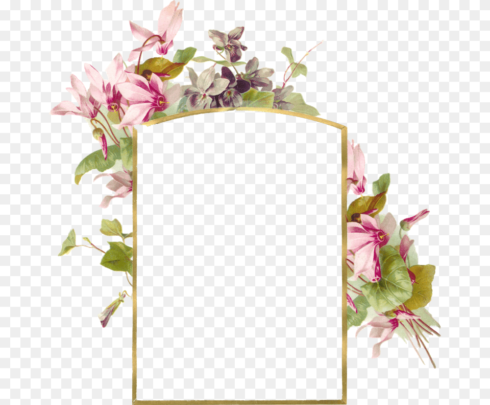 Flower Borders And Frames, Flower Arrangement, Plant, Art, Floral Design Free Png