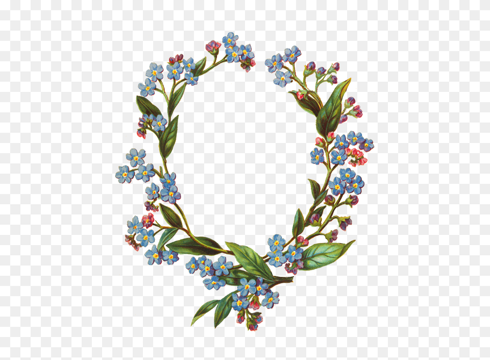 Flower Borders And Frames Floral Frame Oval, Plant, Berry, Blueberry, Food Free Transparent Png