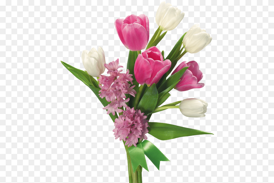Flower Bouquet, Flower Arrangement, Flower Bouquet, Plant, Tulip Png