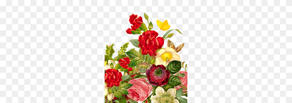 Flower Bouquet Art, Plant, Pattern, Graphics Free Transparent Png