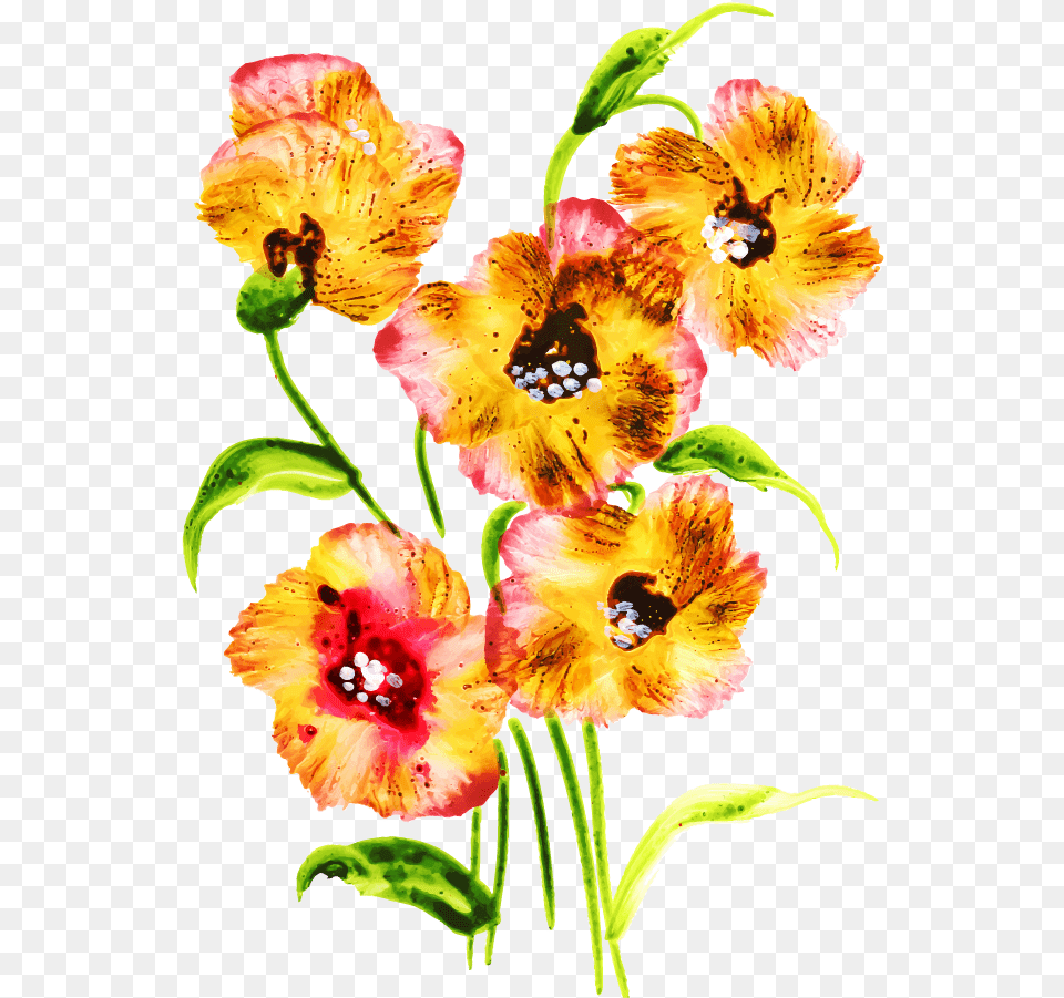 Flower Bouquet, Anther, Plant, Petal, Hibiscus Png