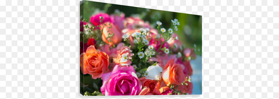 Flower Bouquet Canvas Print Garden Roses, Flower Arrangement, Flower Bouquet, Petal, Plant Png Image