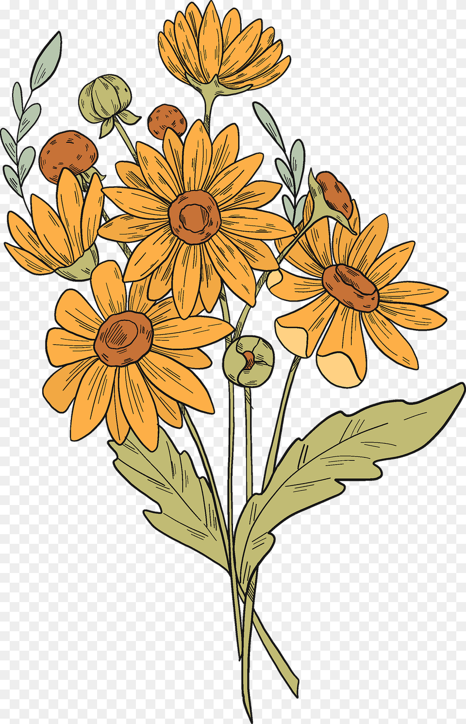 Flower Bouquet Clipart, Daisy, Plant, Art, Pattern Free Png