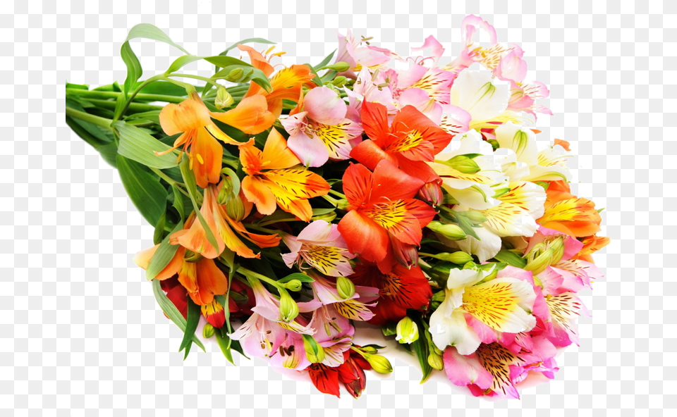 Flower Bouquet Cut Flowers Wedding Rose Beautiful Flower Bouquet Hd, Flower Arrangement, Flower Bouquet, Plant Free Png Download