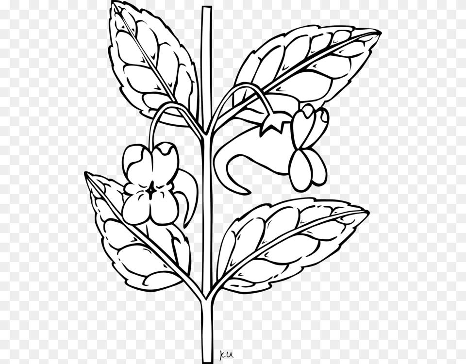 Flower Bouquet Drawing Plant Stem Download, Leaf, Stencil, Art, Ammunition Png