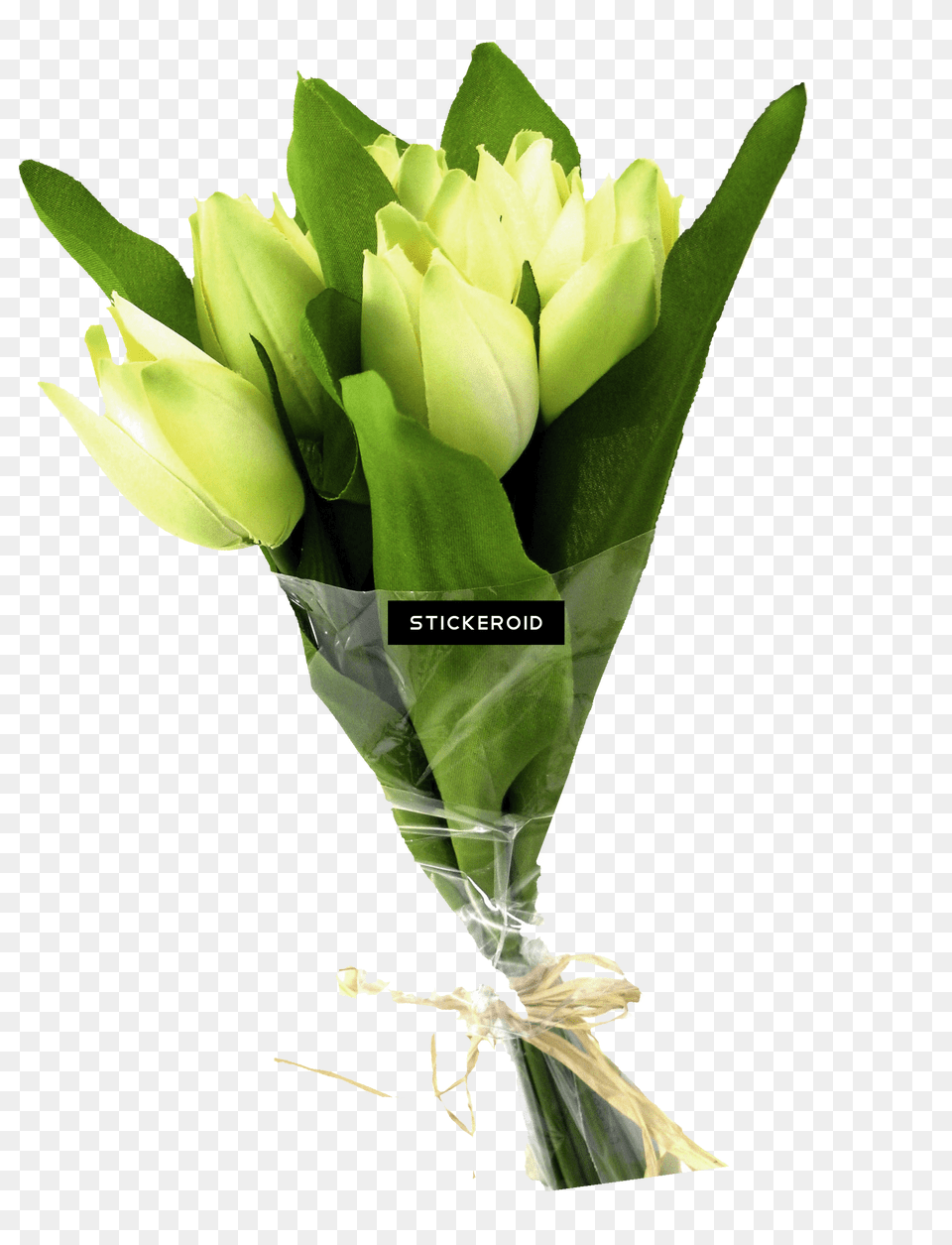 Flower Bouquet Green Flower Bunch, Flower Arrangement, Flower Bouquet, Plant Png Image