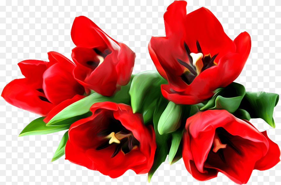 Flower Bouquet Sticker Stock Photography Clip Art, Plant, Tulip, Rose, Flower Arrangement Png
