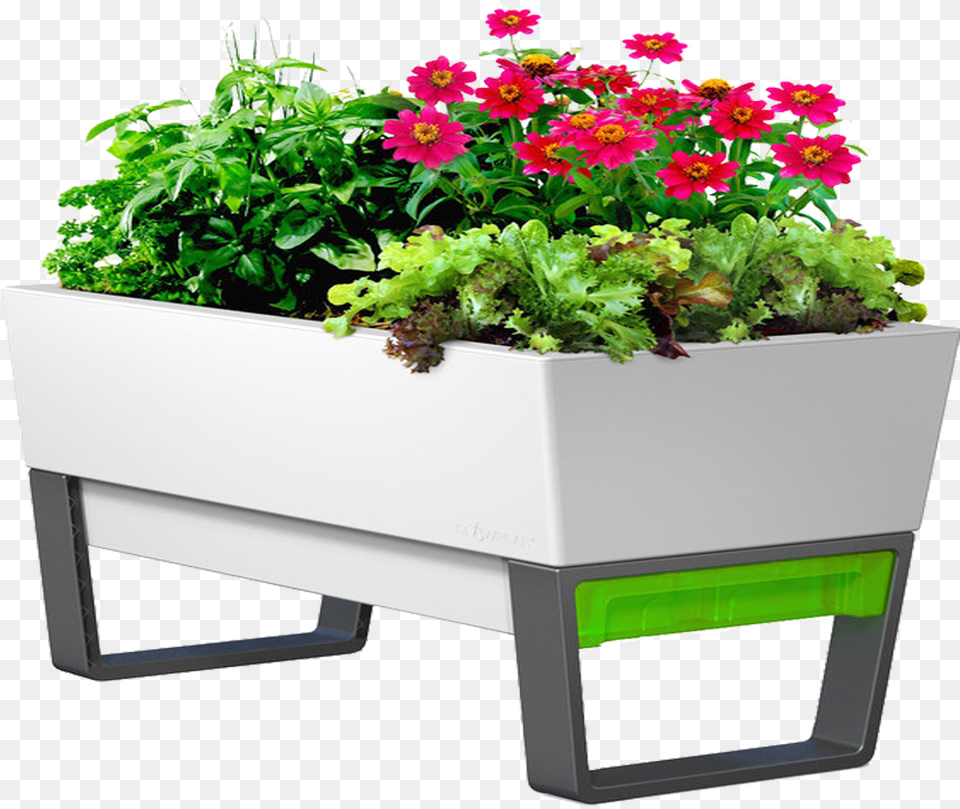 Flower Box, Jar, Plant, Planter, Potted Plant Free Png