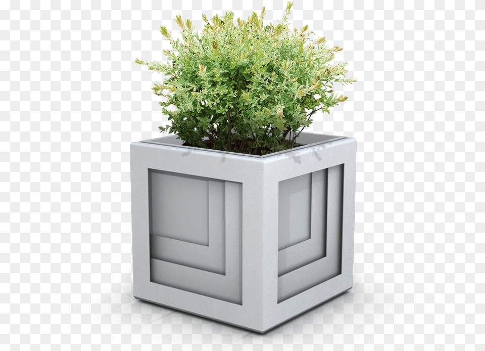 Flower Box Bac Fleurs En Bois Noir, Jar, Plant, Planter, Potted Plant Free Png Download