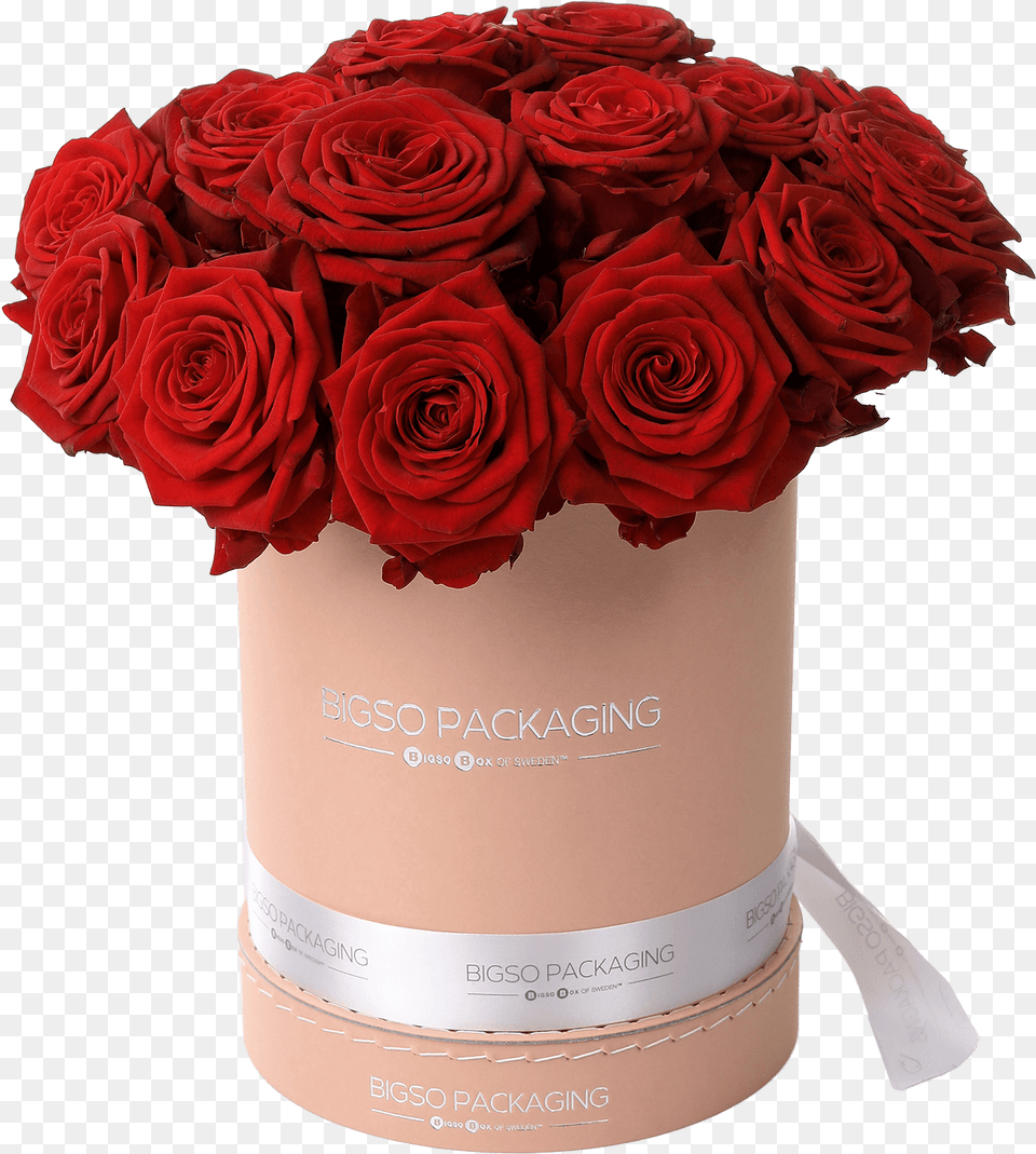 Flower Box Flowers In Box, Flower Arrangement, Flower Bouquet, Plant, Rose Free Png
