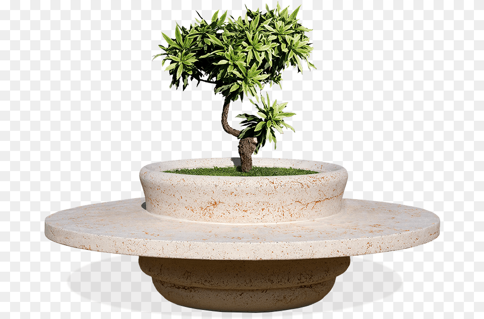 Flower Box Planter With Bench Giza Model Made In Cls Planter Bench, Plant, Potted Plant, Tree, Bonsai Free Transparent Png