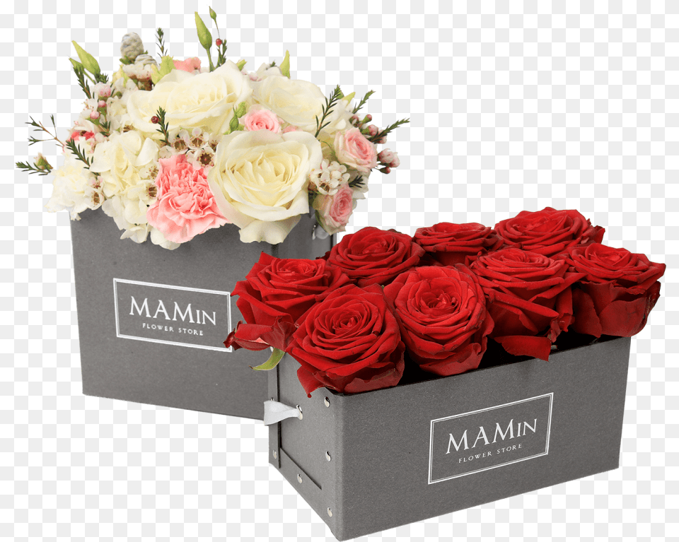 Flower Box Box Flowers, Flower Arrangement, Flower Bouquet, Plant, Rose Free Transparent Png