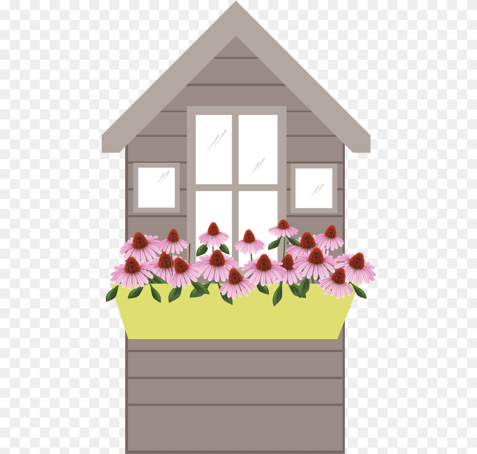 Flower Box Window Clipart, Plant, Potted Plant, Daisy, Outdoors Free Png