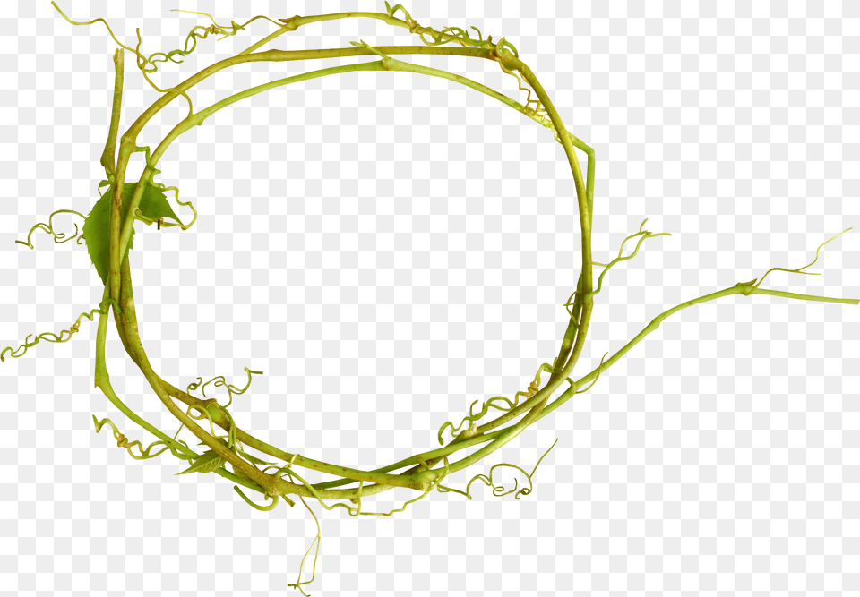 Flower Branch Design Holi Floral Twig Clipart Illustration, Plant, Pattern, Accessories Free Transparent Png