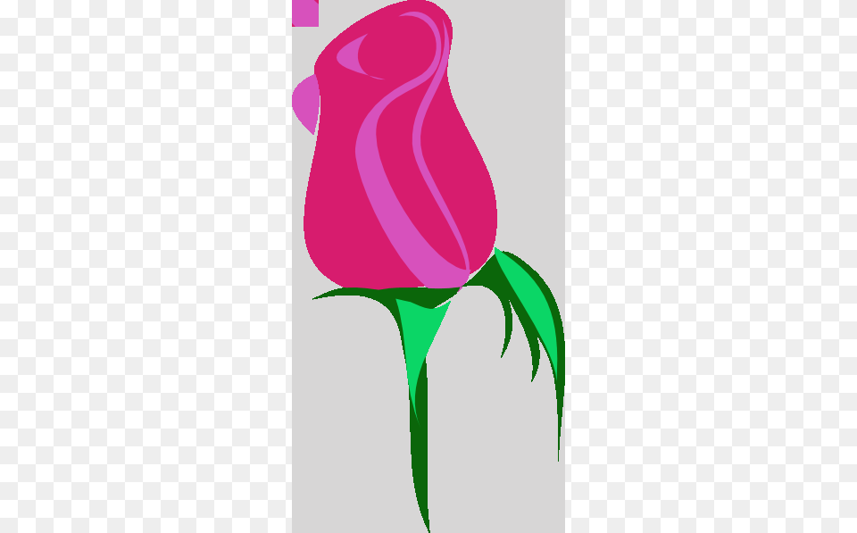 Flower Bud Clip Art, Plant, Rose, Adult, Female Free Transparent Png