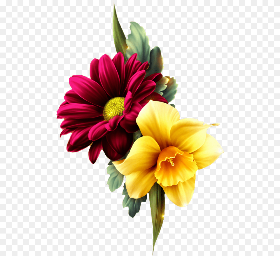 Flower Buke Hd, Dahlia, Flower Arrangement, Flower Bouquet, Plant Png Image