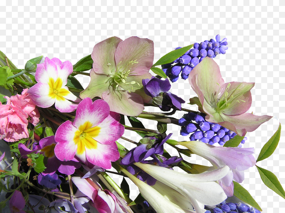 Flower Bunch Mixed Flower, Flower Arrangement, Flower Bouquet, Geranium, Plant Free Png