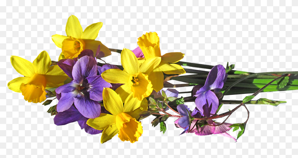 Flower Bunch Spring Yellow Purple Flowers Spring Bunch Of Flowers, Flower Arrangement, Plant, Daffodil, Flower Bouquet Png