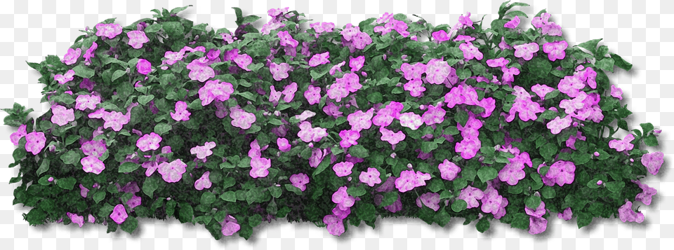 Flower Bush Transparent Free Png