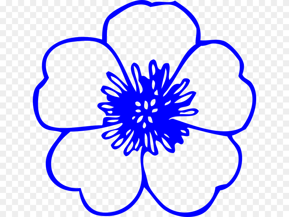 Flower Buttercup Blue Outline Spring Flora Plant, Anemone, Anther, Petal, Pattern Png Image