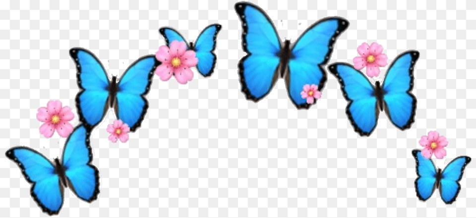 Flower Butterfly Crown Emoji Sticker Butterfly Crown Emoji, Petal, Plant, Animal, Insect Png