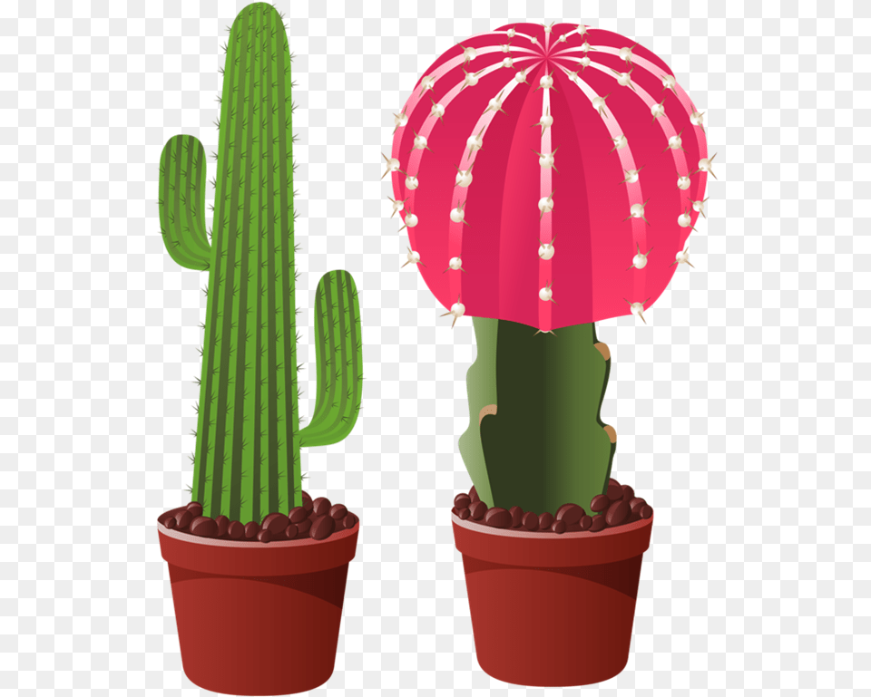 Flower Cactus Clip Art Transparent Cut Clipart Cactus Transparent Background, Plant Free Png Download