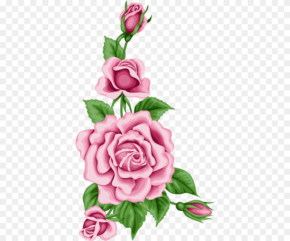 Flower Card With Colorful Roses Pink Flower Side Border Design On Paper, Art, Graphics, Plant, Rose Png Image