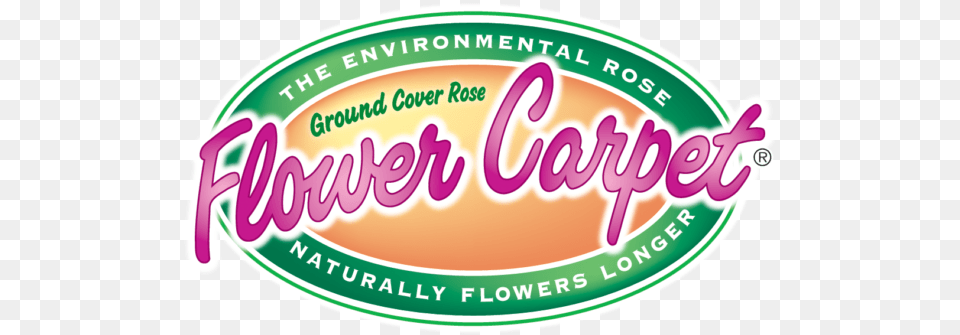 Flower Carpet Roses Rosa Series Anthony Flower Carpet Logo, Food, Ketchup Png